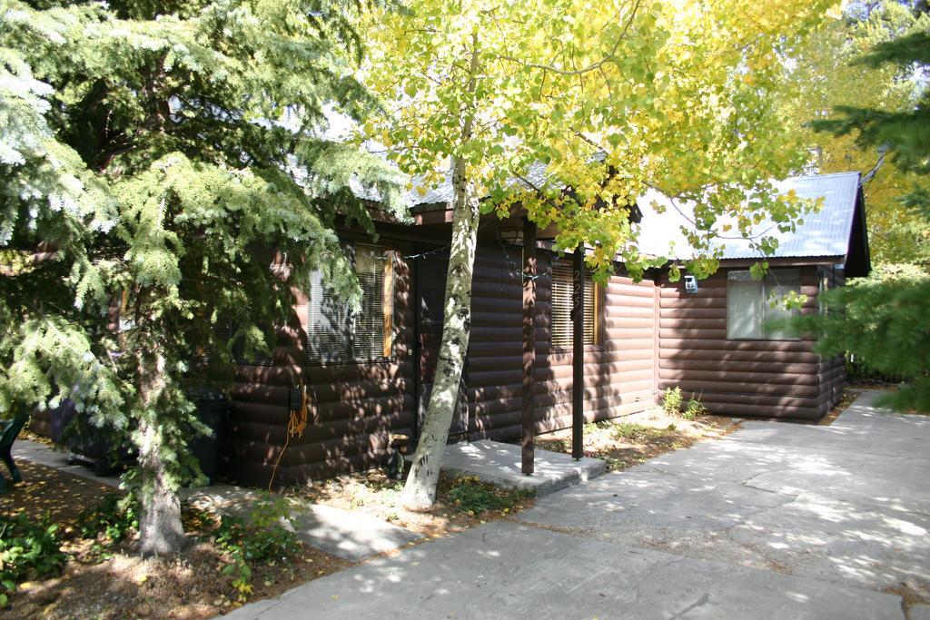 ווסט ילוסטון Yellowstone Wildlife Cabins מראה חיצוני תמונה